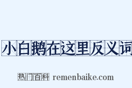 小白鹅在这里反义词是什么意思的图片